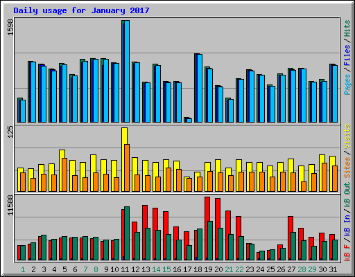 Daily usage for January 2017