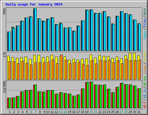 Daily usage for January 2024