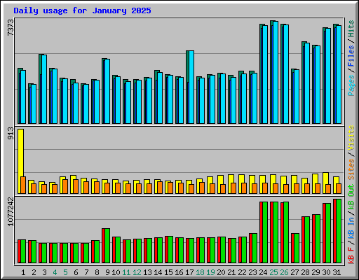 Daily usage for January 2025