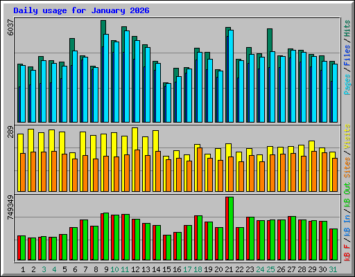 Daily usage for January 2026