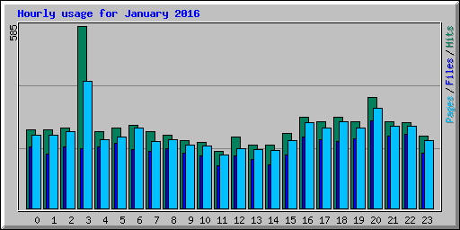 Hourly usage for January 2016