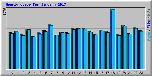Hourly usage for January 2017