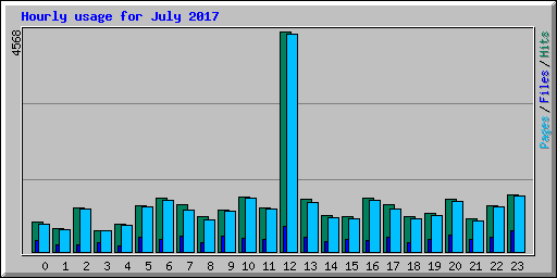 Hourly usage for July 2017