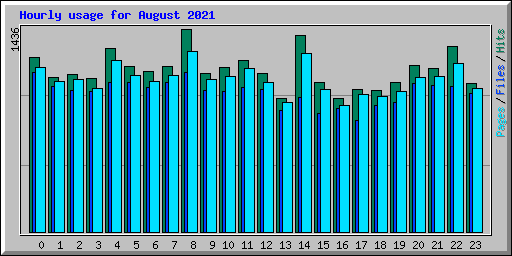 Hourly usage for August 2021