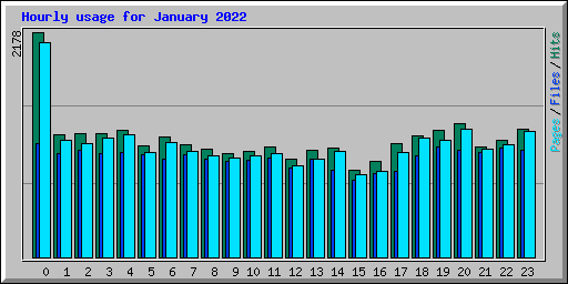 Hourly usage for January 2022