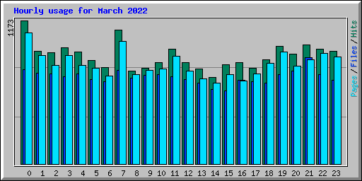 Hourly usage for March 2022