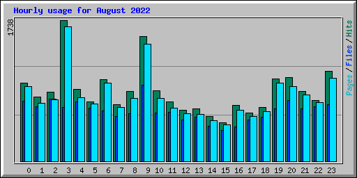 Hourly usage for August 2022