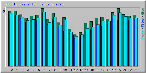Hourly usage for January 2023