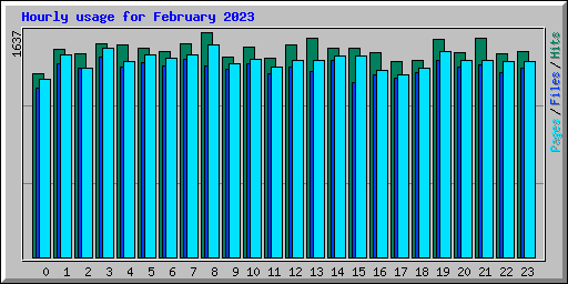 Hourly usage for February 2023