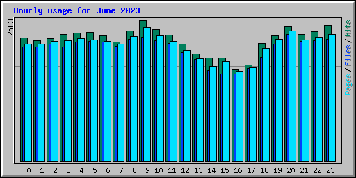 Hourly usage for June 2023