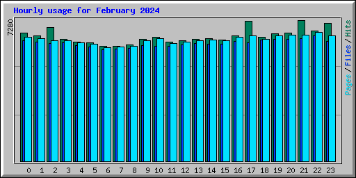 Hourly usage for February 2024