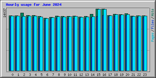 Hourly usage for June 2024