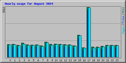 Hourly usage for August 2024