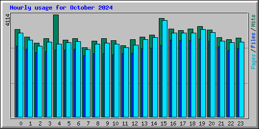 Hourly usage for October 2024