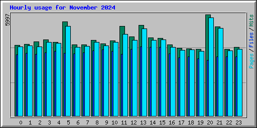 Hourly usage for November 2024