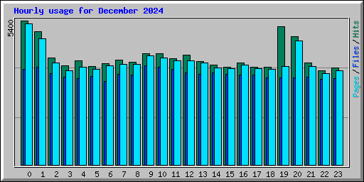 Hourly usage for December 2024