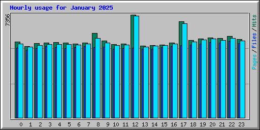 Hourly usage for January 2025