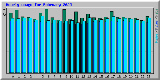 Hourly usage for February 2025