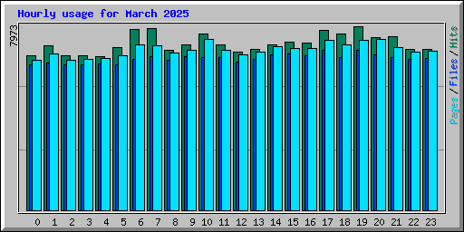 Hourly usage for March 2025