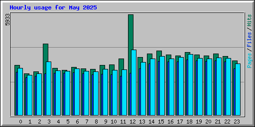 Hourly usage for May 2025