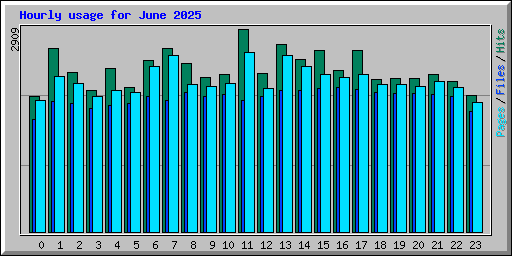 Hourly usage for June 2025