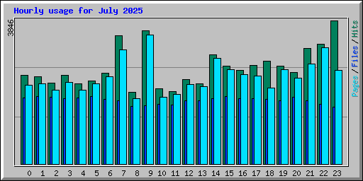 Hourly usage for July 2025
