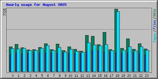 Hourly usage for August 2025