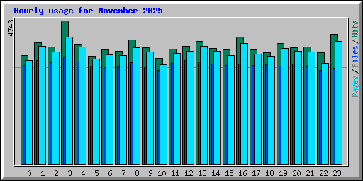 Hourly usage for November 2025