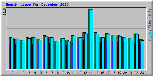 Hourly usage for December 2025