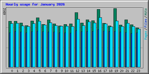 Hourly usage for January 2026